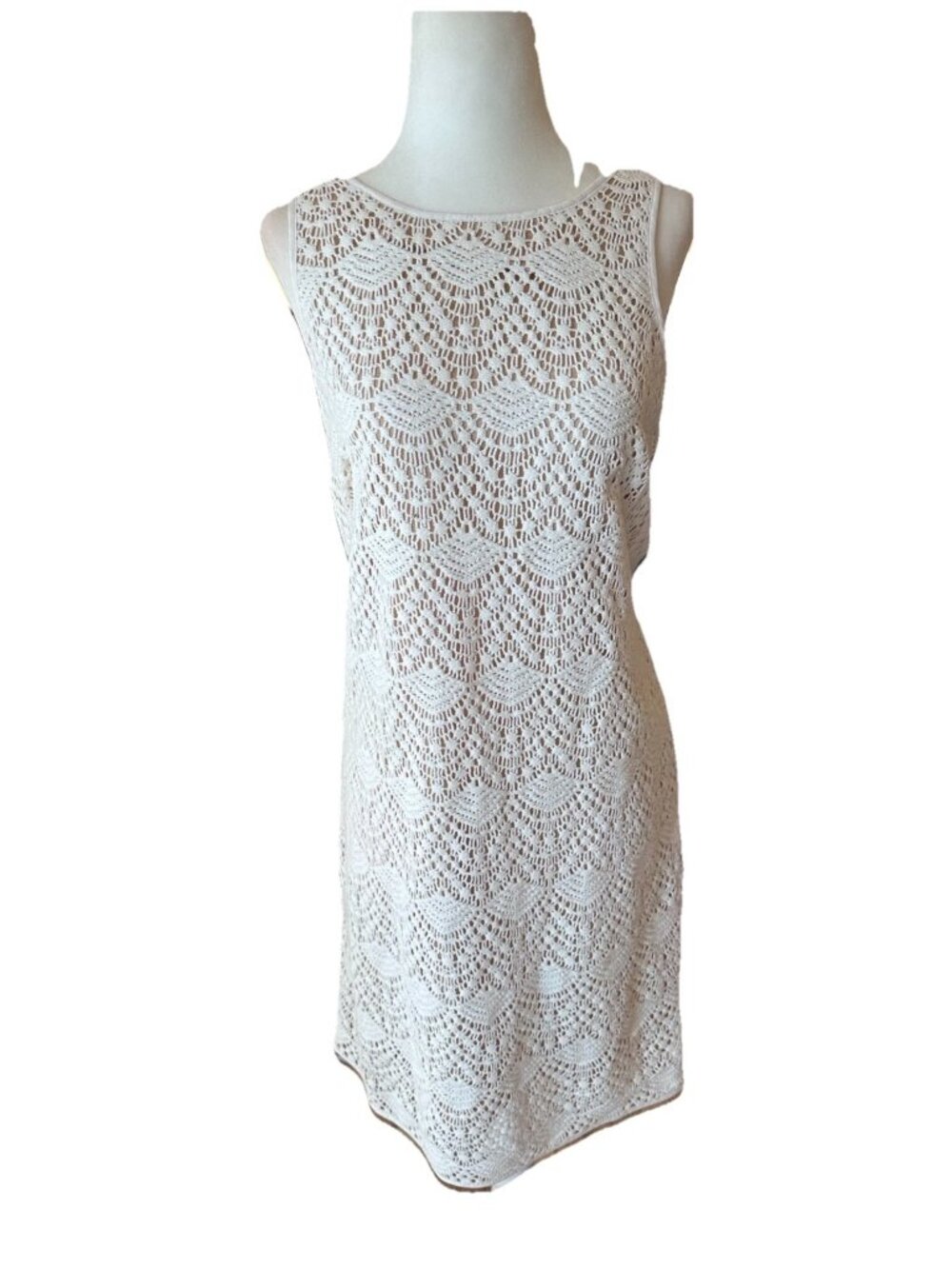 NWT Ann Taylor Loft Sleeveless Lace Crochet Dress Cream Lined 6